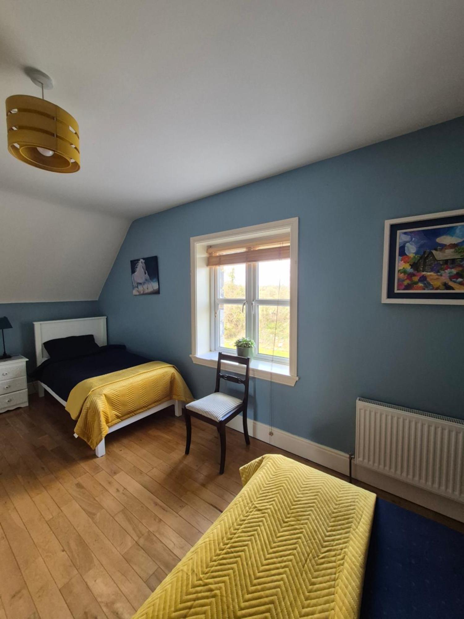 Ballinasloe Guest House In The Heart Of The Country Экстерьер фото